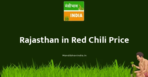 Red Chili भाव